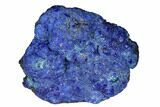 Vivid Blue, Cut/Polished Azurite Nodule - Siberia #175544-1